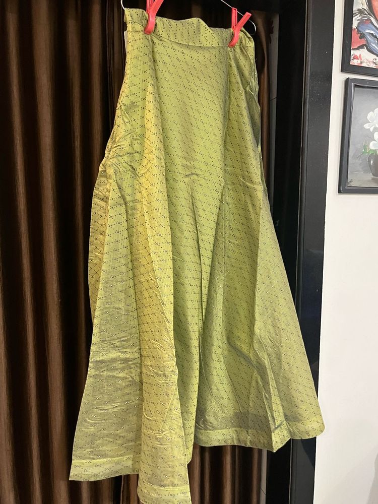 Elegant Ethnic Skirt