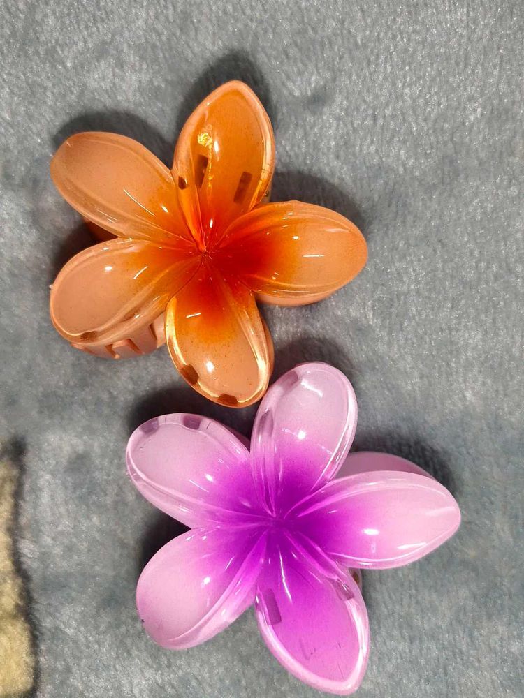 Beautiful Floral Cluture with Vibrant color