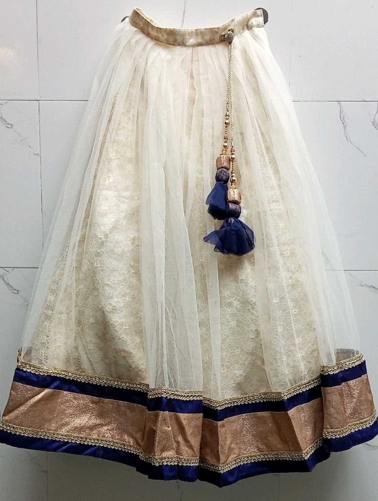 elegant and classy lehenge skirt with blouse an