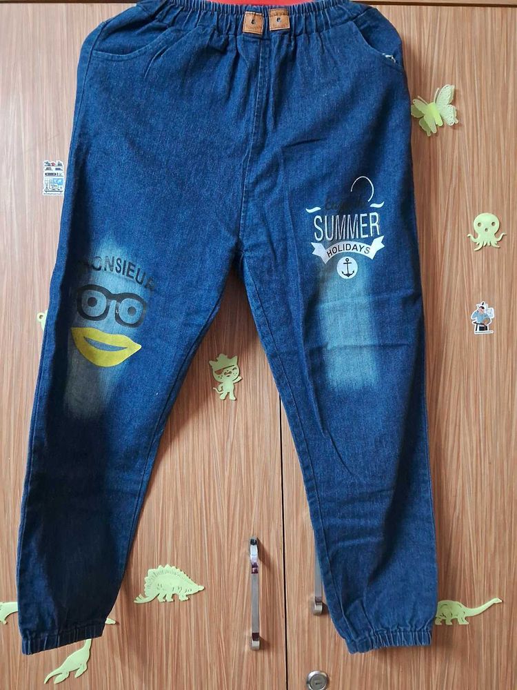 Denim Stylish Pant