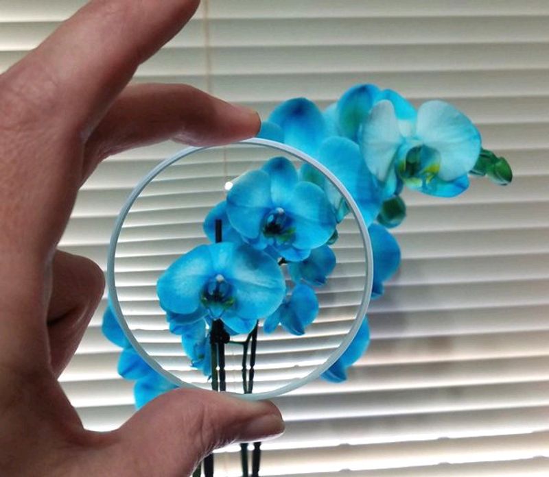 Real Concave Lens Mirror