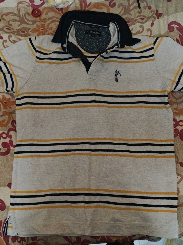 Striped Polo Shirt
