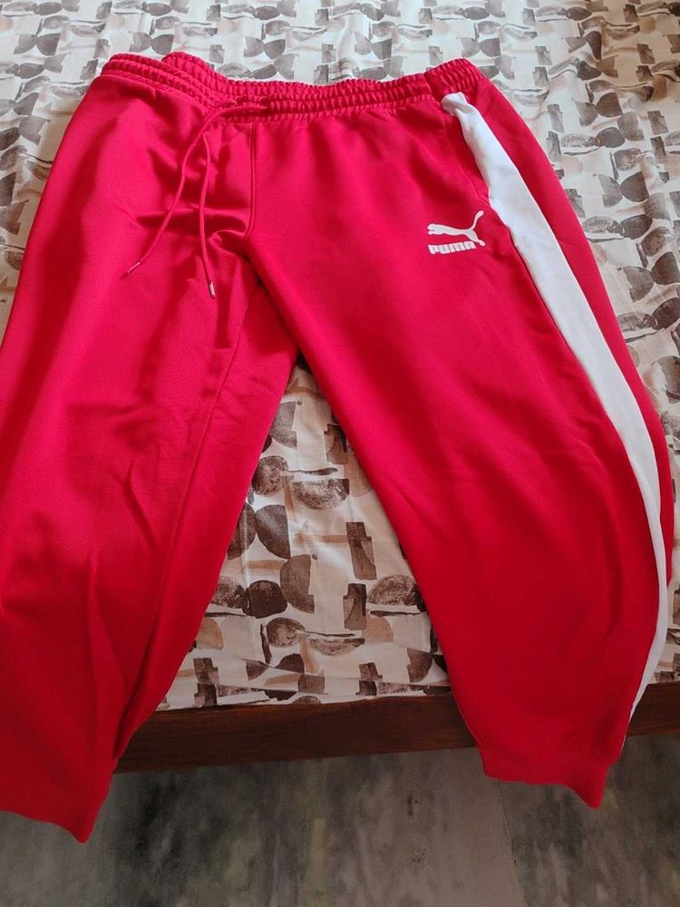 Puma Red Casual Shorts