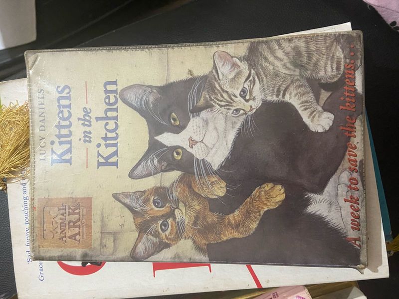 Kittens in the Kitchen