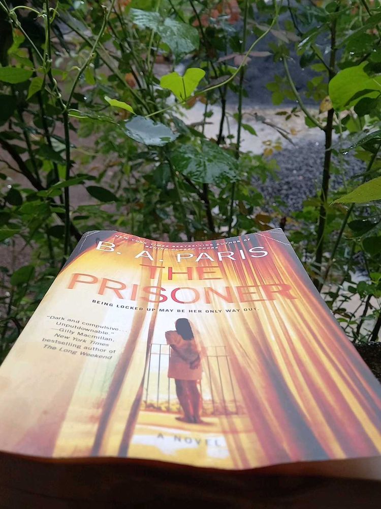 The Prisoner - B.A. Paris