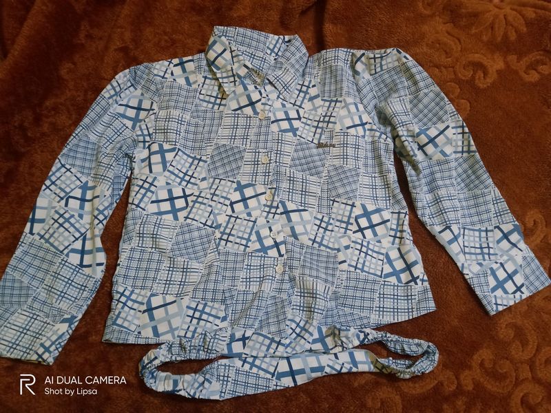 Puffed Sleeve Shirt Style Top