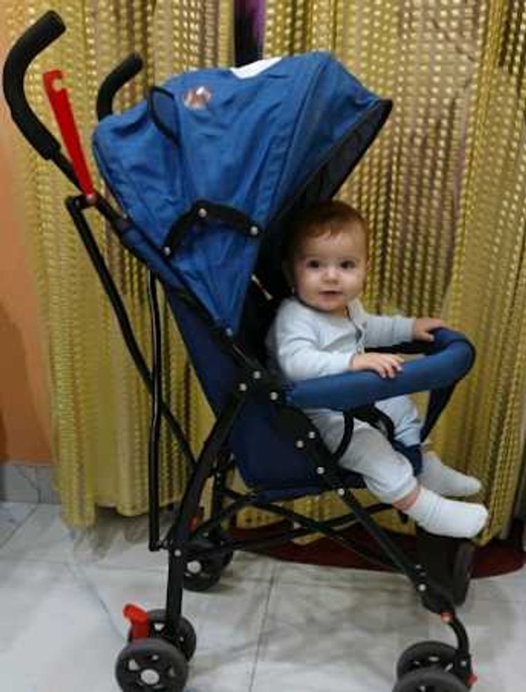 Bumtum Blue Stroller