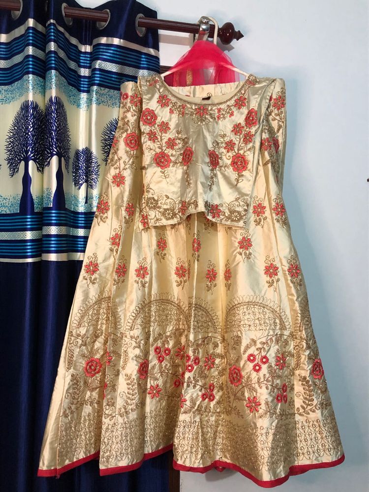 Elegant Embroidered Lehenga Choli