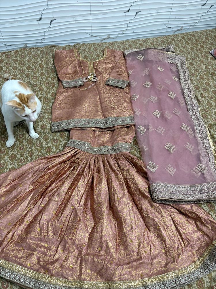 beautiful garara with enbroided dupatta