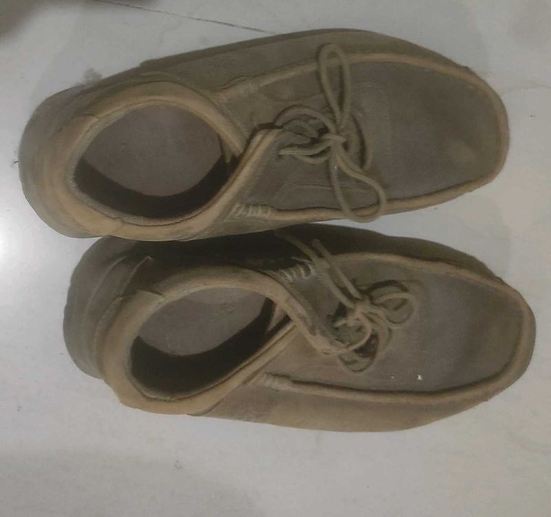 Casual Brown Shoes