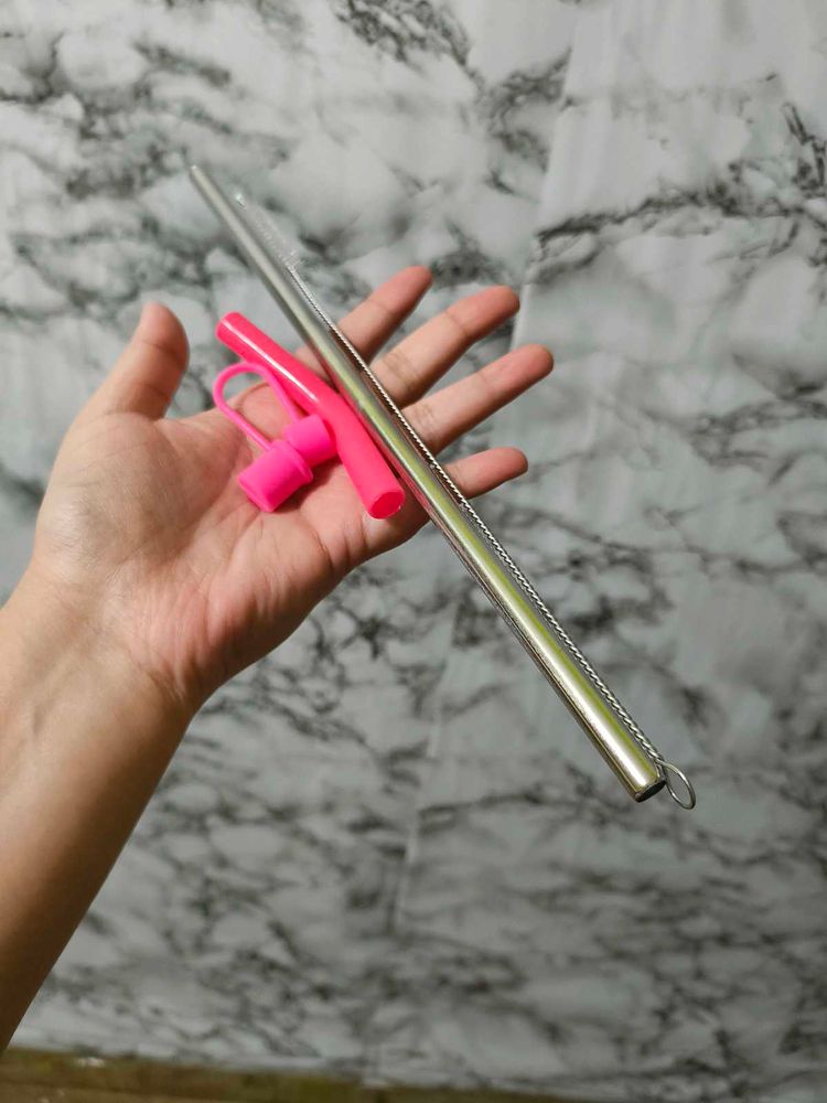 House Of Quirk StainlessSteel&amp; Plastic Straw Combo