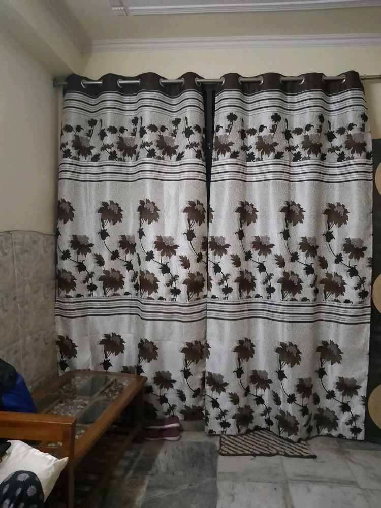 5cutains White And Broun Colour