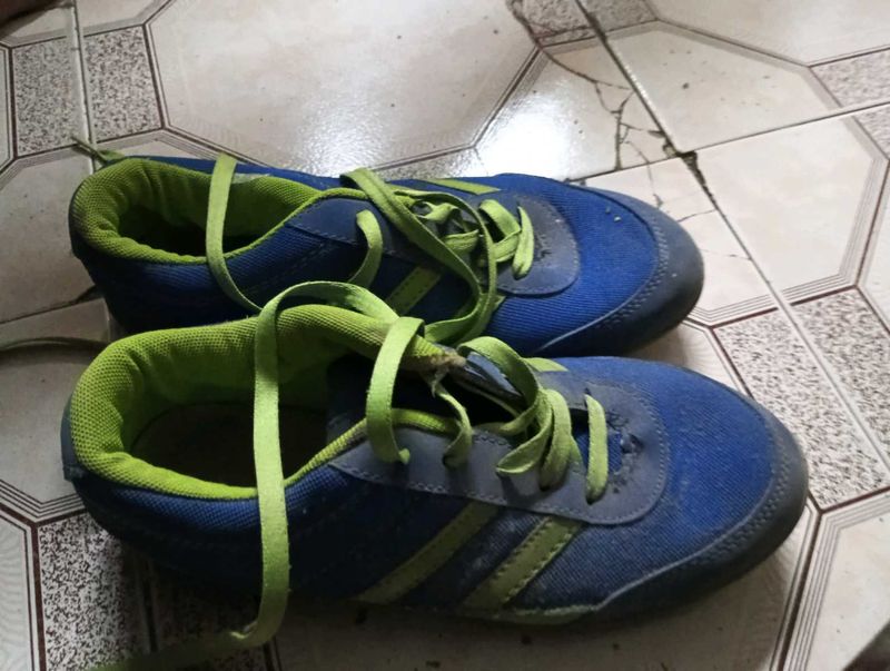 Blue and Green Running Shoes