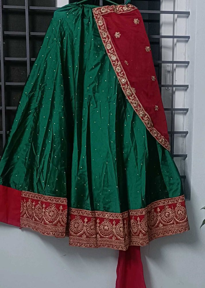 Elegant half sareee