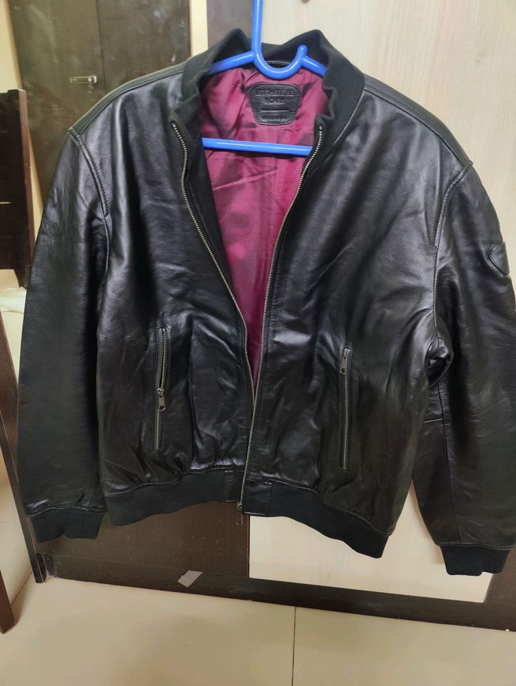 Harrier Dark Edition Leather Jacket