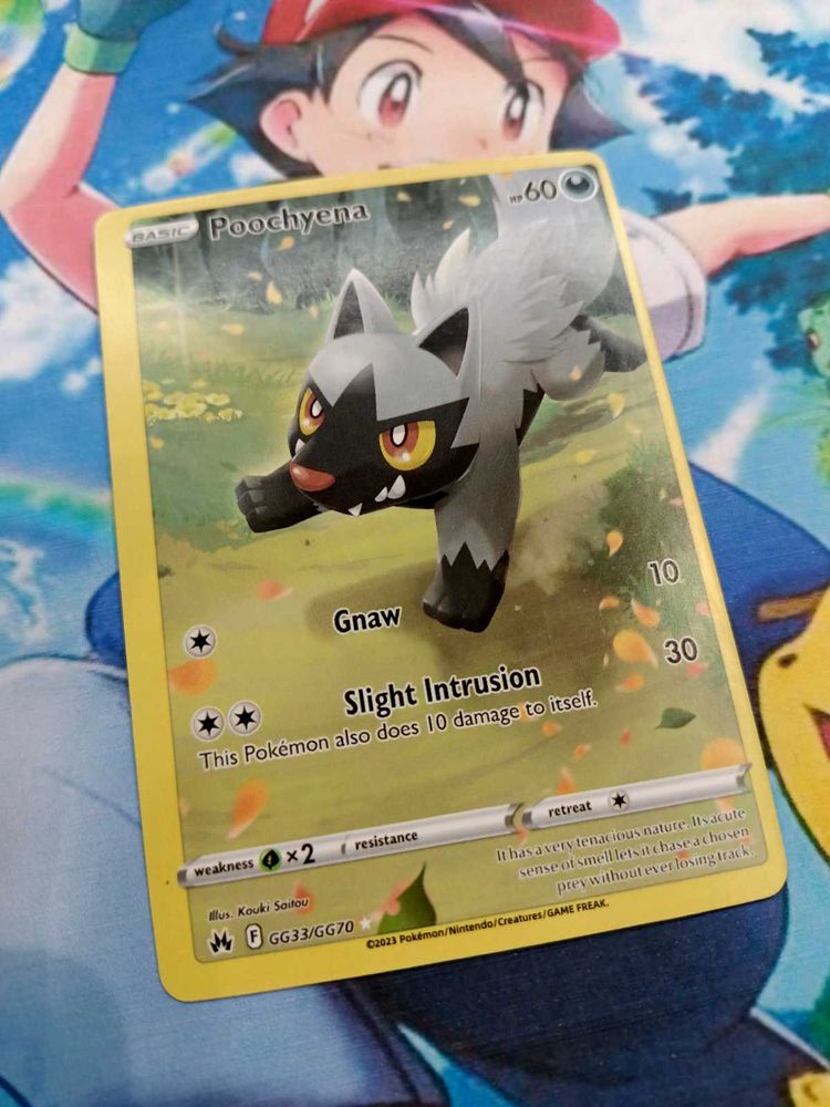 Poochyena Pokemon Card