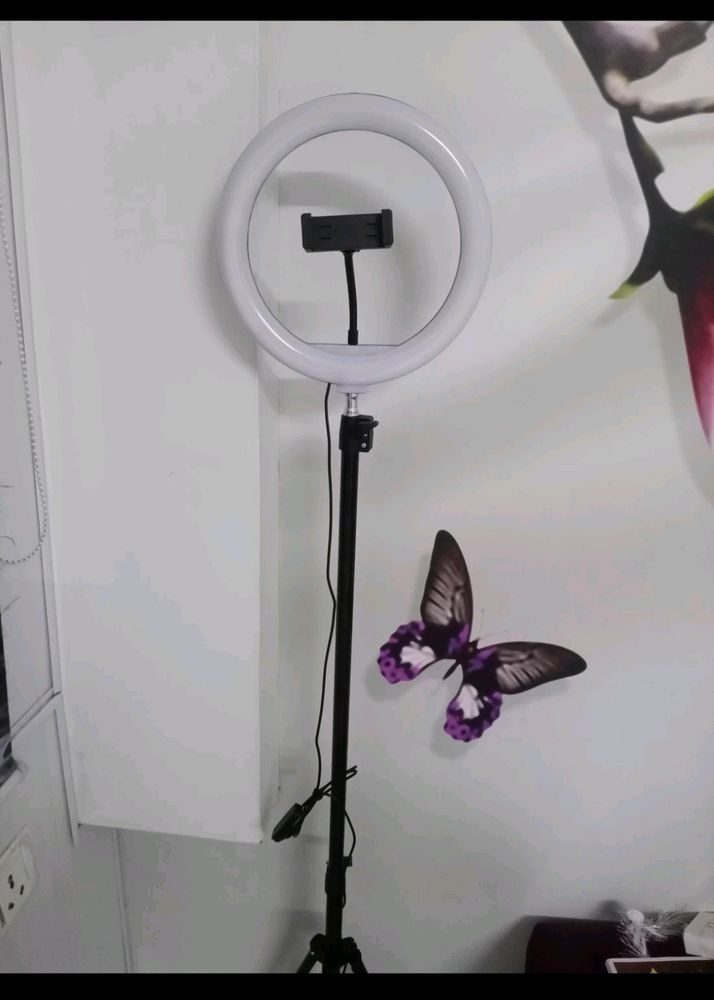 Ringlight 12 Inch With Tripod