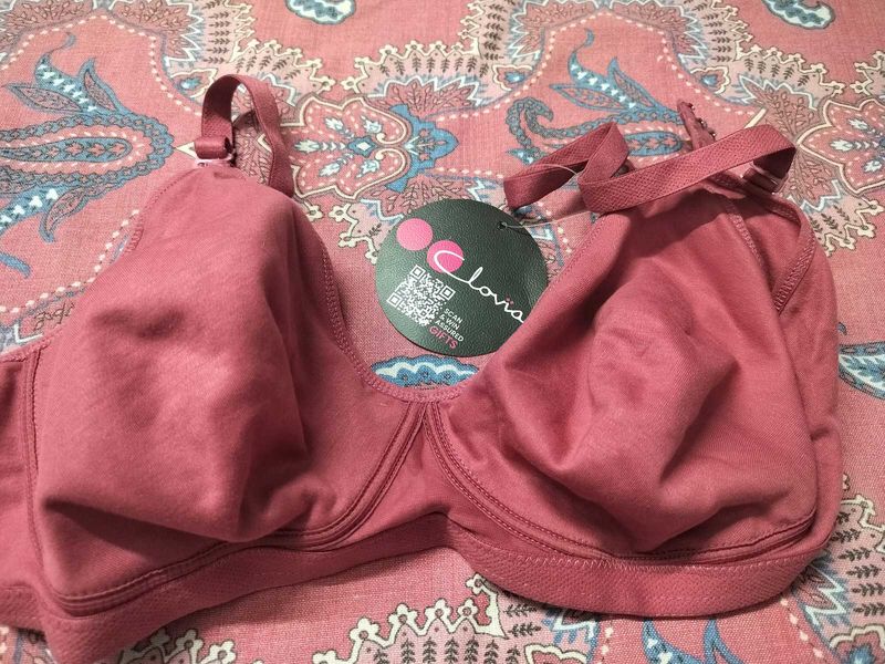 Cotton Daily Wear Bra Clovia