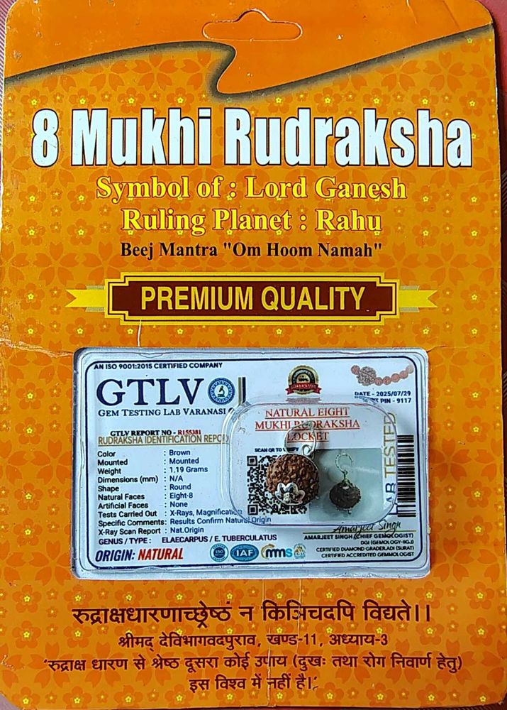 8 Mukhi Rudraksha Locket