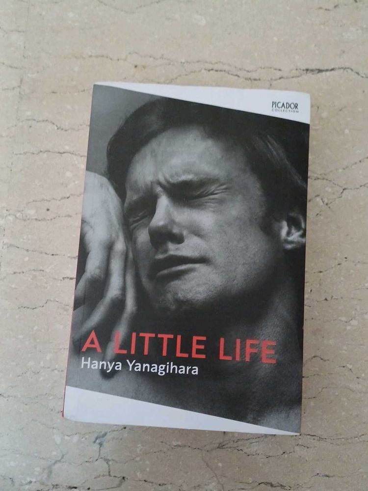 A Little Life