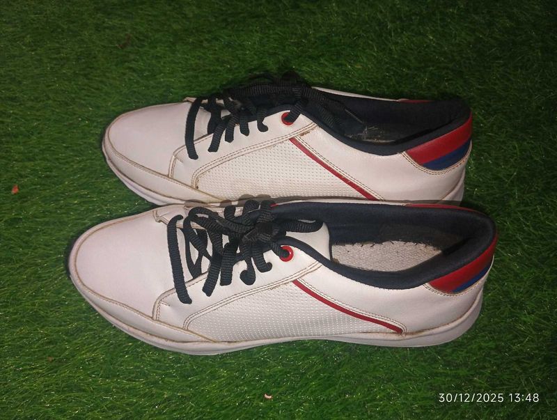 Stylish White Sneakers