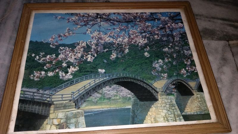 Spring Scenery 🌷🦋