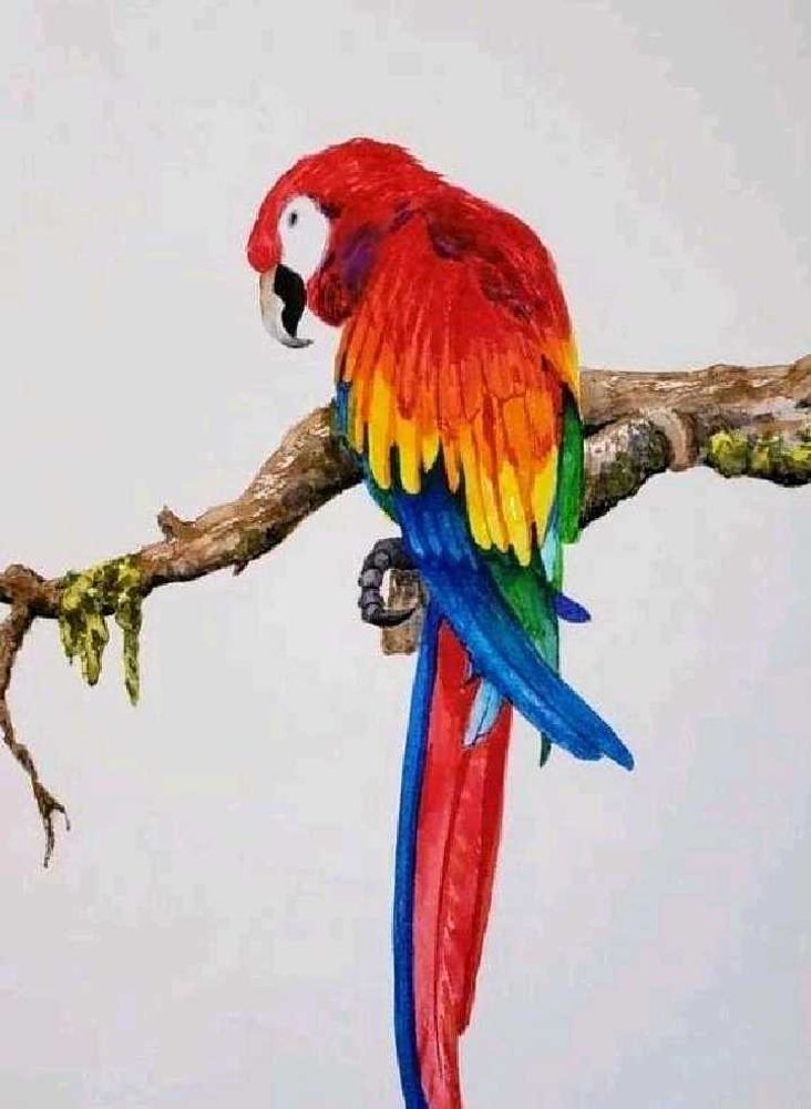 Bird Painting