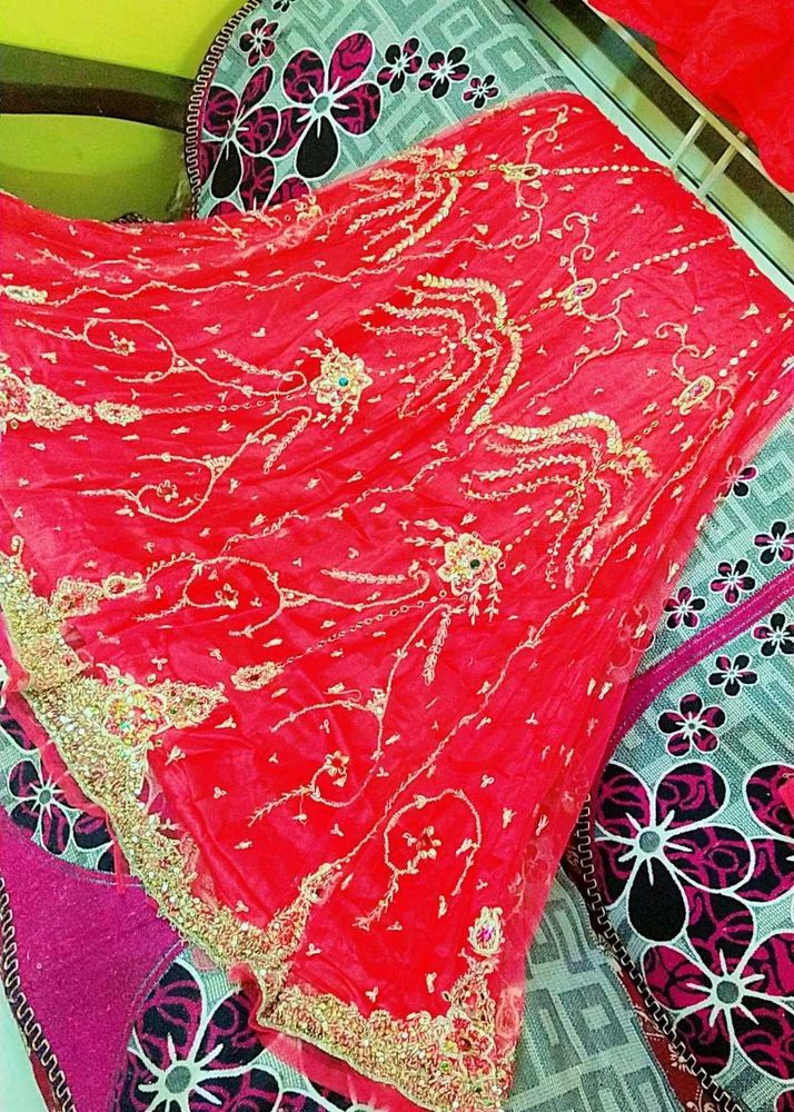 Full Bridal Zari Work Red &amp; Gold Sharara