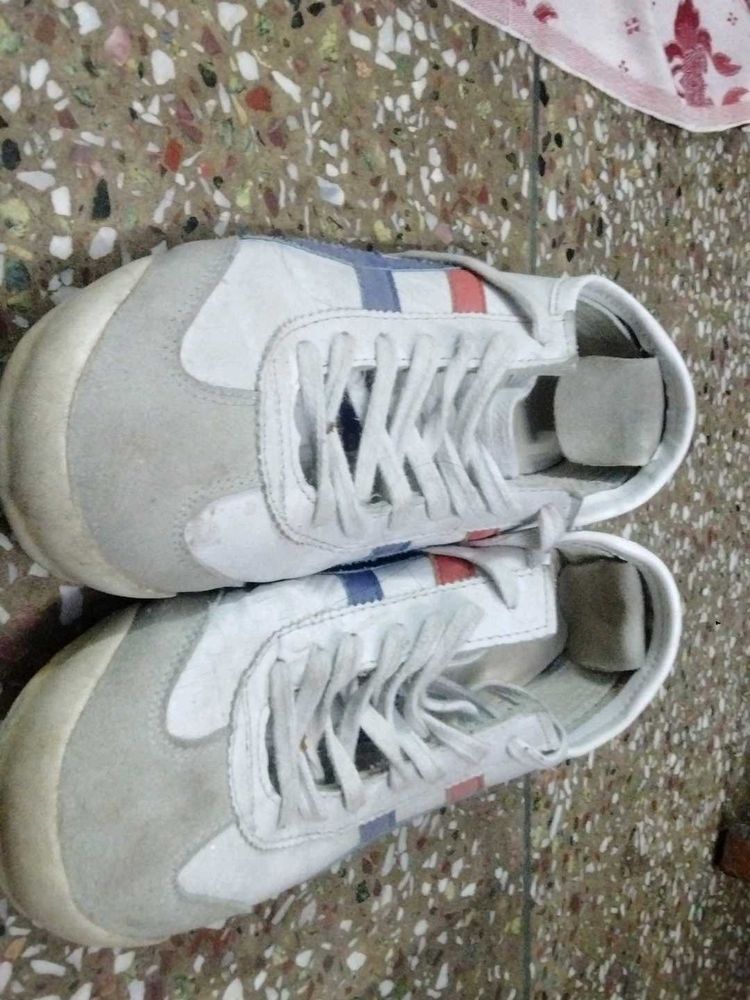 Casual White Sneakers with Accents