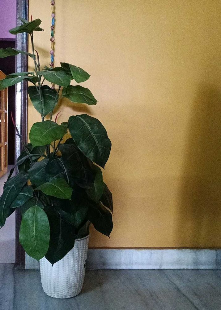 Artificial Plant with big leaves - 42 inches