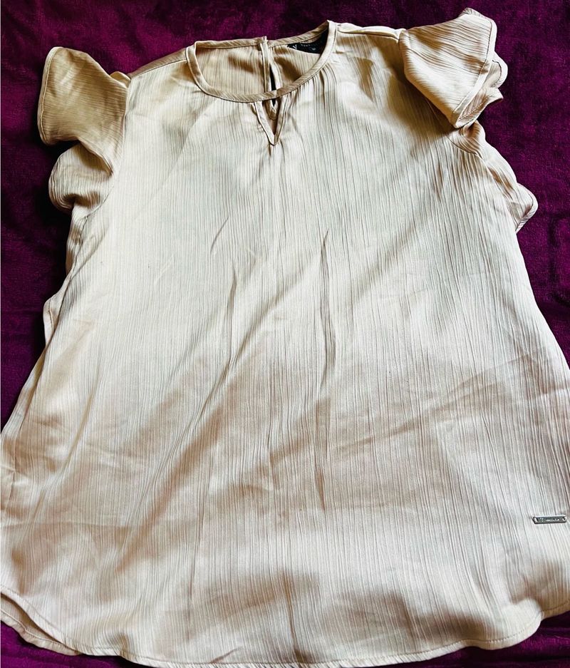 Elegant Champagne Top