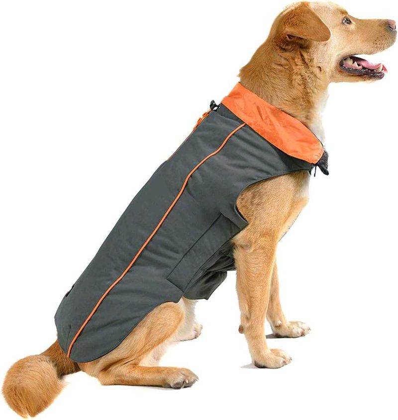 Small Dog Winter Jecket