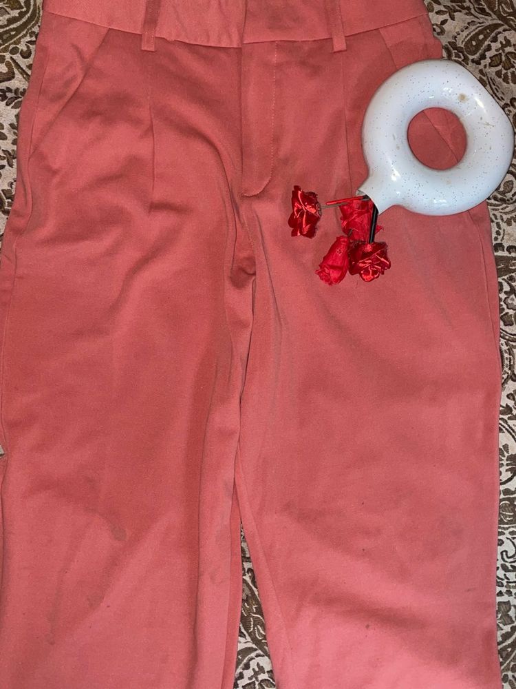 Plazo Pant