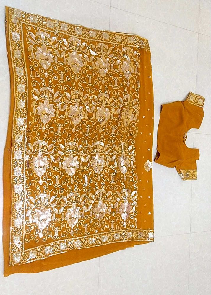 Gold Embellished Saree &amp; Blouse