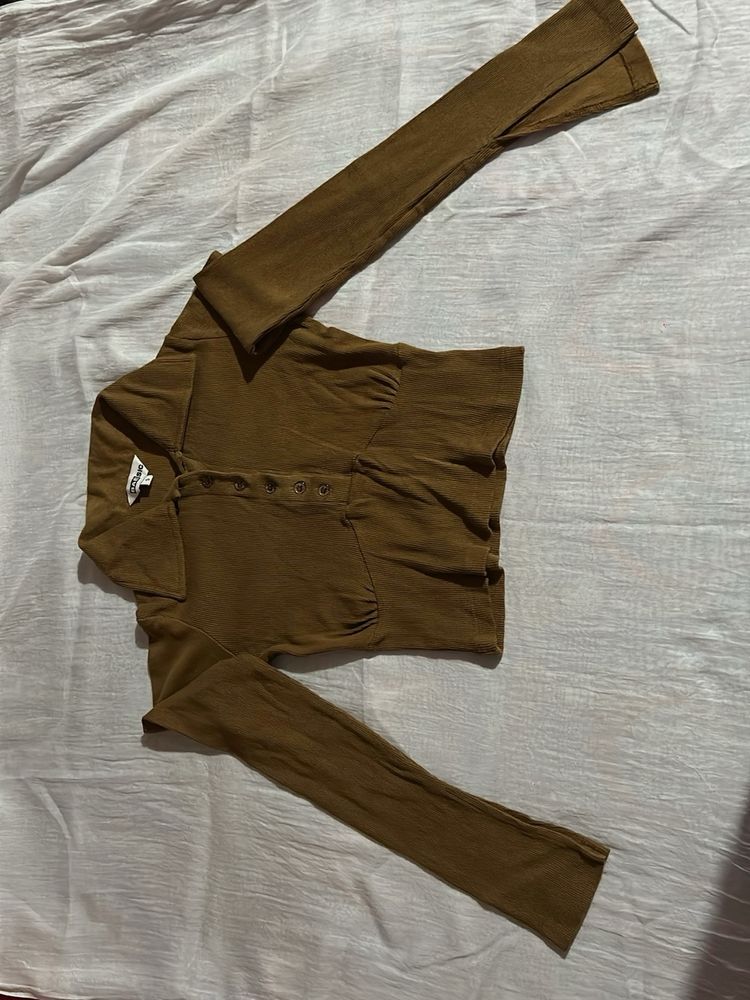 Baesic brown Polo Crop Top