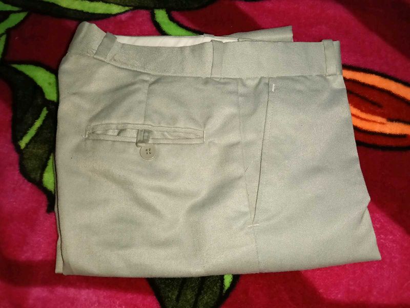 Elegant Beige Pants