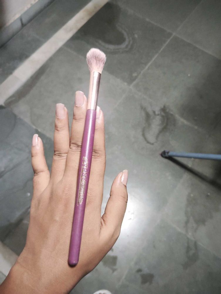 Makeup Brush