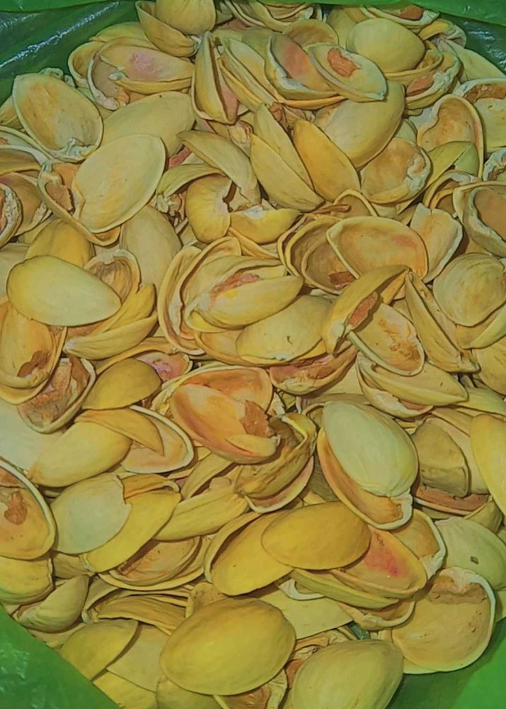 Pistachios Shells