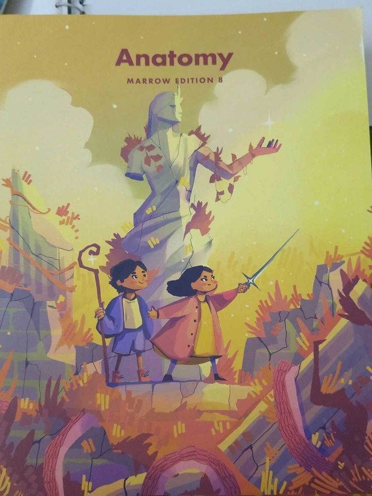 Anatomy Marrow Edition 8