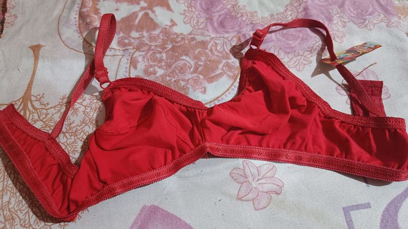 Daily Wear Bra ❤️❤️