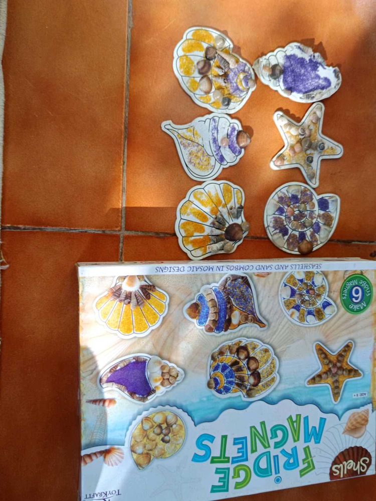 Shells Fridge Magnets