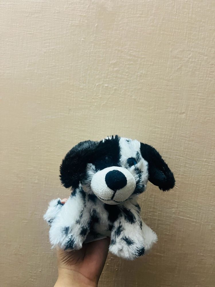 Cute Doggy❤️