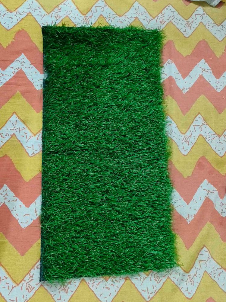 Grass Carpet