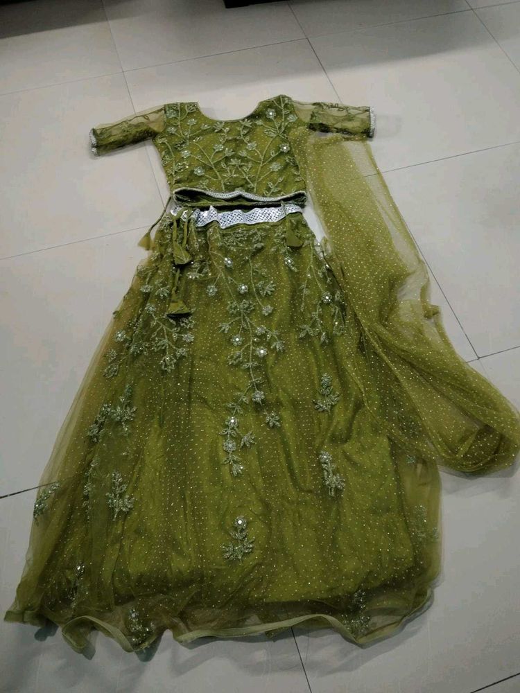 Elegant Green Embroidered Lehenga Choli Set