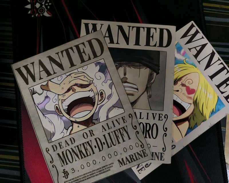One Piece Wanted Posters (3)