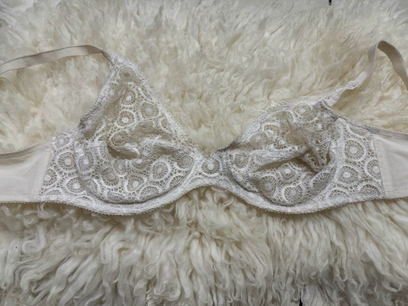 Net Stylish Bra
