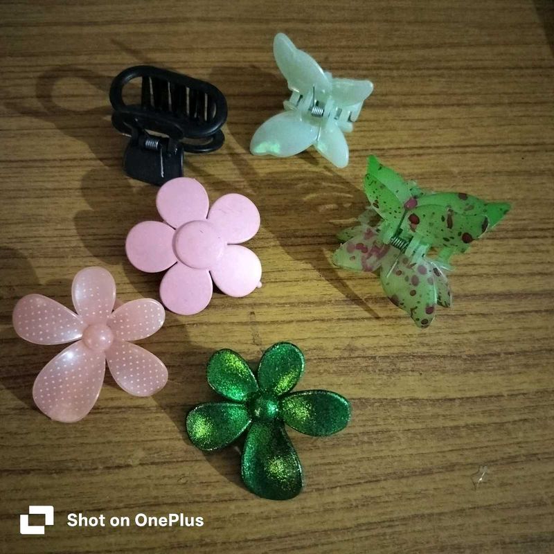 Assorted Hair Clips - Cute Designs