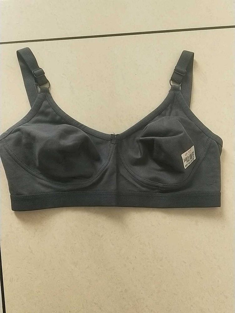 36C Comfortable Everyday Bra(LAJJA)