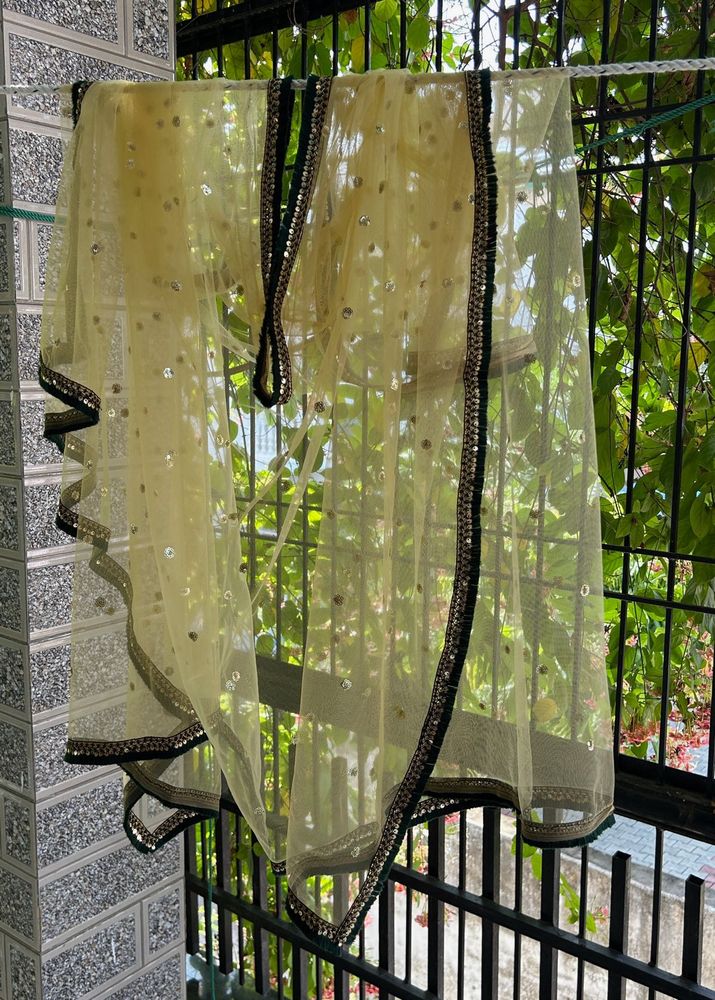 Embellished Dupatta