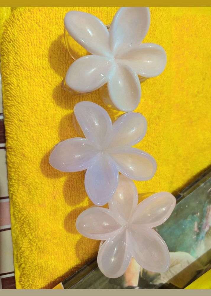 Flower Hair Clips (Set of 3)